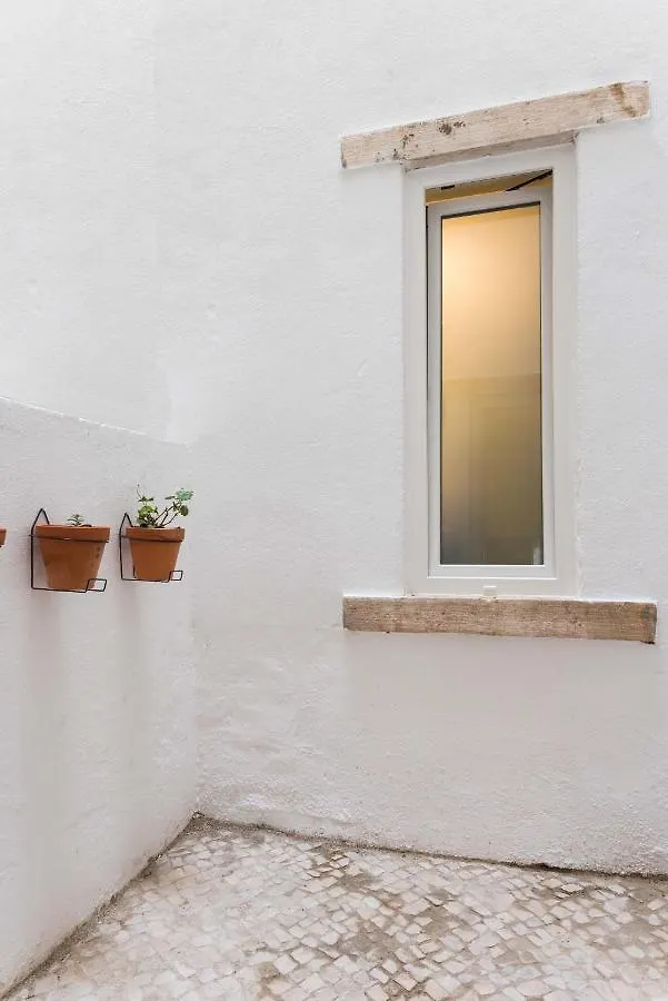 Gorgeous Refurbished Apartments Graca Lisbon